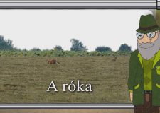 M5 TV – Erdő Ernő bácsi meséi – A róka – 2026/4. adás – 2026.01.25.