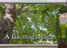 M5 TV – Erdő Ernő bácsi meséi – A fák magassága – 2026/3. adás – 2026.01.18.