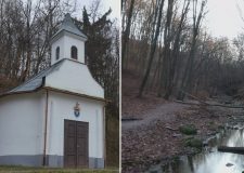 M5 TV – Bakonyi kirándulás: Római fürdő és a jásdi Szent-kút – 2026/4. adás – 2026.01.25.