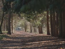 M5 TV – Látogatás a gödöllői Arbo Parkban – 2026/5. adás – 2026.02.01.