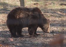 M5 TV – Erdei utakon – 2026/5. adás – 2026.02.01.