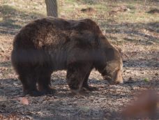 M5 TV – Erdei utakon – 2026/5. adás – 2026.02.01.