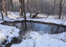 M5 TV – Vízmegtartás a börzsönyi erdőségekben – 2026/2. adás – 2026.01.11.