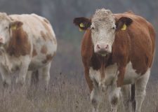 M5 TV – Erdei utakon – 2026/2. adás – 2026.01.11.