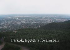 M5 TV – Nemzeti Kincsünk az Erdő – Parkok, ligetek a fővárosban – 2026/6. adás – 2026.02.08.