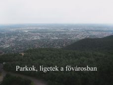 M5 TV – Nemzeti Kincsünk az Erdő – Parkok, ligetek a fővárosban – 2026/6. adás – 2026.02.08.