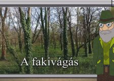 M5 TV – Erdő Ernő bácsi meséi – A fakivágás – 2026/7. adás – 2026.02.15.