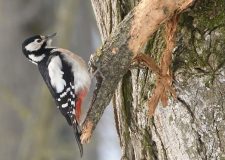 M5 TV – Erdei utakon – 2026/7. adás – 2026.02.15.