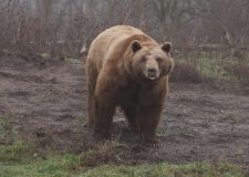 M5 TV – Erdei utakon – Ajánló – 2026/6. adás – 2026.02.08. vasárnap 16:40