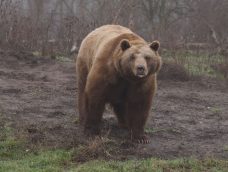 M5 TV – Erdei utakon – Ajánló – 2026/6. adás – 2026.02.08. vasárnap 16:40