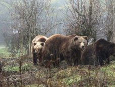 M5 TV – Erdei utakon – 2026/6. adás – 2026.02.08.