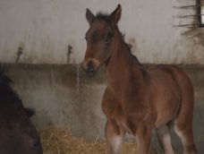 M5 TV – Erdei utakon – Ajánló – 2026/7. adás – 2026.02.15. vasárnap 16:40