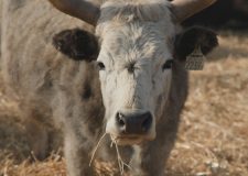 M5 TV – Erdei utakon – 2026/10. adás – 2026.03.08.