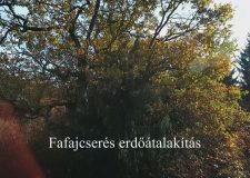 M5 TV – Nemzeti Kincsünk az Erdő – Fafajcserés erdőátalakítás – 2026/12. adás – 2026.03.22.