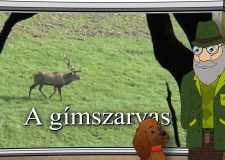 M5 TV – Erdő Ernő bácsi meséi – A gímszarvas – 2026/12. adás – 2026.03.22.