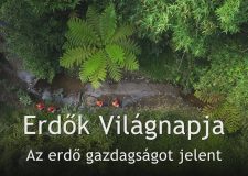 M5 TV – Erdők Világnapja – Az erdő gazdagságot jelent – 2026/12. adás – 2026.03.22.