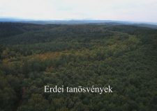 M5 TV – Nemzeti Kincsünk az Erdő – Erdei tanösvények – 2026/13. adás – 2026.03.29.