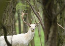 M5 TV – Vadvilág – Tavaszi kitekintés – 2026/12. adás – 2026.03.22.