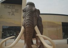 M5 TV – Szeleta Park – Feltárulnak a Bükk kőkori és természeti értékei – 2026/13. adás – 2026.03.29.