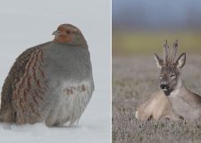 M5 TV – Vadvilág – elbúcsúzik a tél, ébred a természet – 2026/10. adás – 2026.03.08.