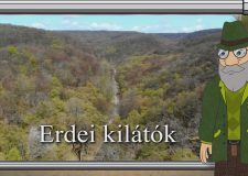 M5 TV – Erdő Ernő bácsi meséi – Erdei kilátók – 2026/17. adás – 2026.04.26.