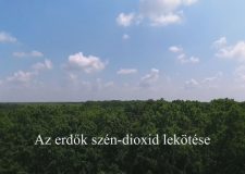 M5 TV – Nemzeti Kincsünk az Erdő – Az erdők szén-dioxid lekötése – 2026/18. adás – 2026.05.03.
