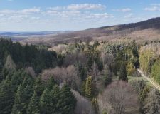 M5 TV – Erdei utakon – 2026/16. adás – 2026.04.19.