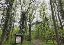 M5 TV – Feltárul a Soroksári Botanikus Kert világa – 2026/17. adás – 2026.04.26.