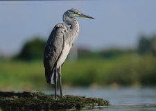 M5 TV – Erdei utakon – Ajánló – 2026/18. adás – 2026.05.03. vasárnap 16:45