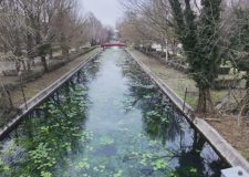 M5 TV – A Hévízi levezető csatorna ökológiája – 2026/16. adás – 2026.04.19.