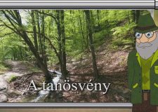 M5 TV – Erdő Ernő bácsi meséi – A tanösvény – 2026/33. adás – 2026.08.16.