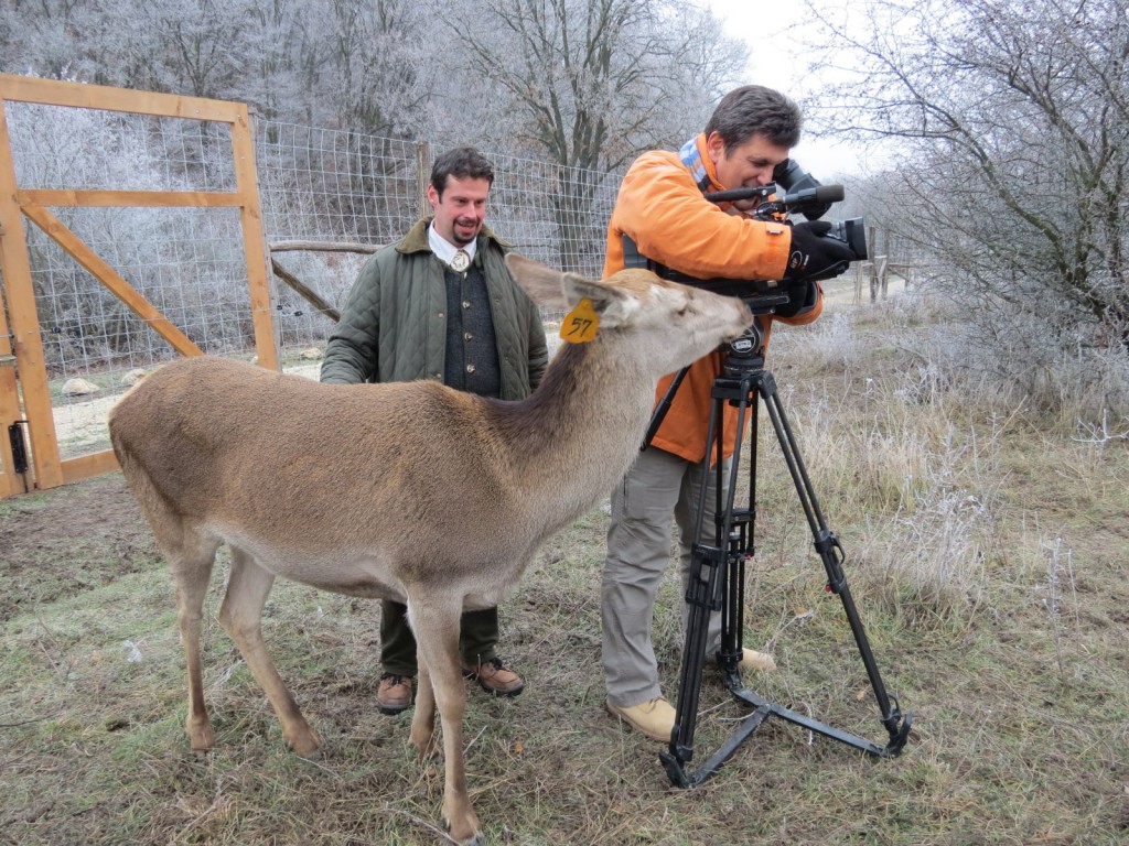 A szeld és barátságos Böbe segített a stábnak