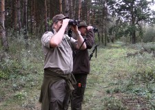 Cserkelő vadászaton a darvasi vadászkerületben
