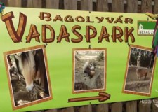 HAZAI VADÁSZ – Madárszemmel – Bagolyvár Vadaspark – 2015.02. 14