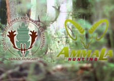 The AmmaLa / Gyulaj experience, hunting at its best