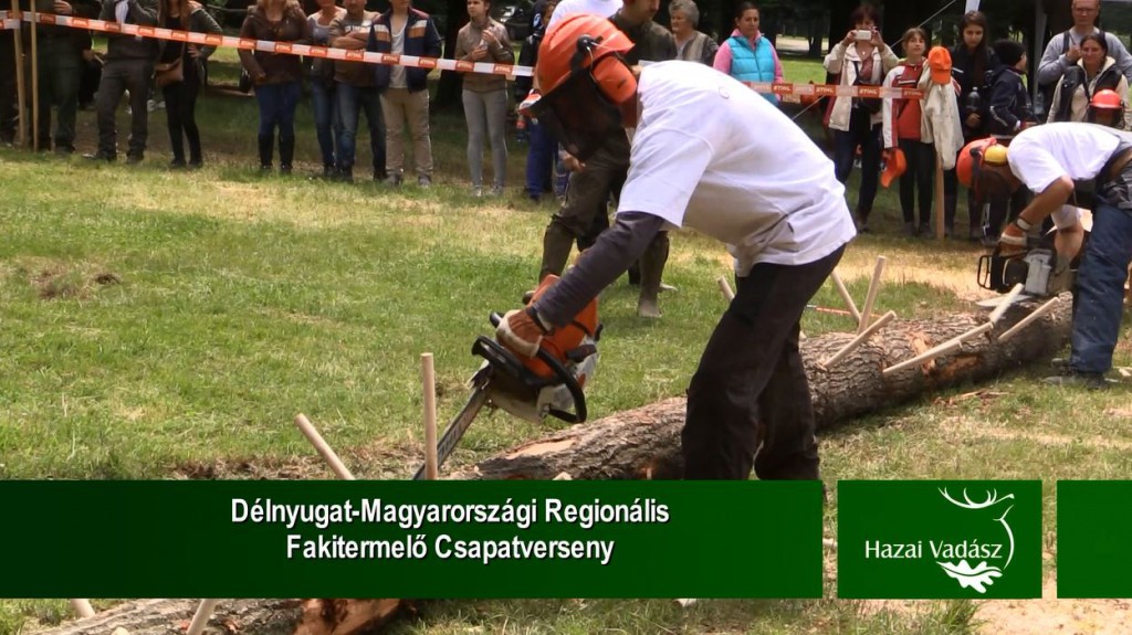 STIHL – Délnyugat-Magyarországi Regionális Fakitermelő Csapatverseny – 2015.06.21-i adás