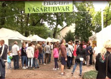 Életképek – IX. Országos Vadgasztronómiai Fesztivál – Soponya – 2015.09.05