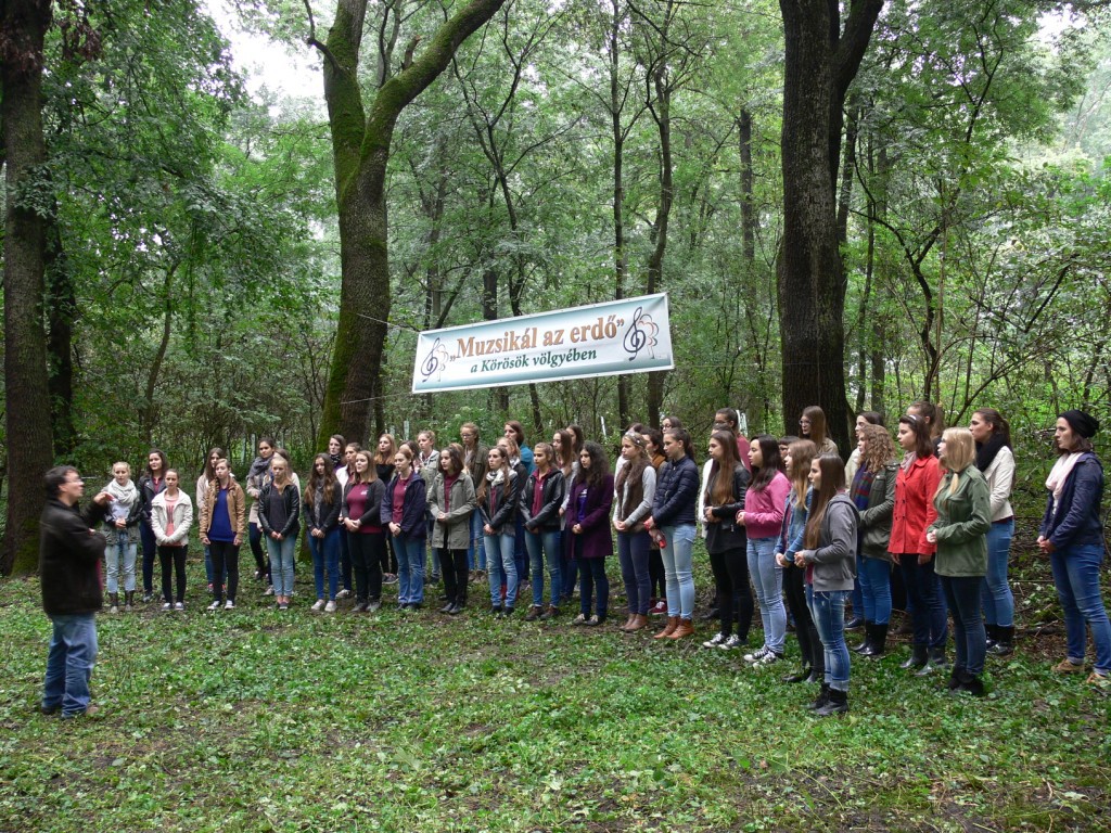 Bizonyított a „Muzsikál az erdő” a Körösök völgyében – 2015.09.26-27.