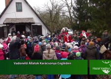 Vadonélő Állatok Karácsonya Cegléden – 2015.12.26-i adás