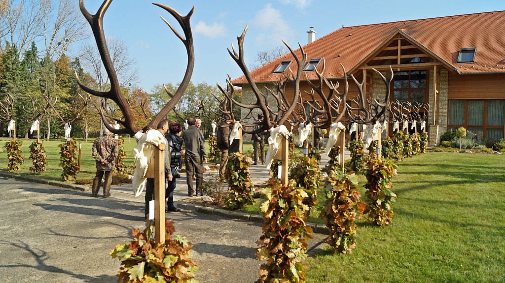 Trófeaszemle a SEFAG Zrt. Lábodi Vadászerdészeténél – 2016.10.27