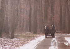 Érdemes odafigyelni a szmogriadóhoz kötődő intézkedésekre és tájékoztatásokra – 2017.01.23