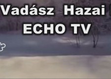 2017 -ben új, még kedvezőbb időpontban jelentkezik a HAZAI VADÁSZ – HAZAI ERDÉSZ TV Magazin: minden héten szombaton 17 órakor várjuk Nézőinket az ECHO-TV csatornán!