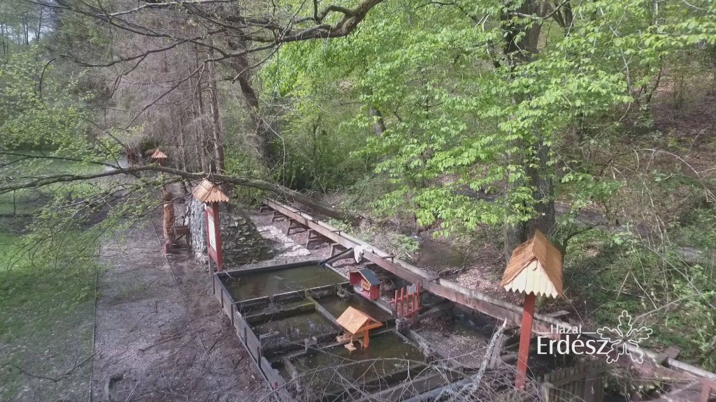 A károsodott erdők mielőbbi helyreállítása a cél – 2017.05.12