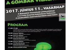 A gombák varázslatos élővilága a Budakeszi  Vadasparkban_2017.06.07