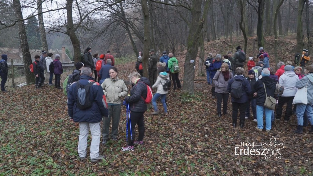 Életképek – Kisvasút-Őszi gasztrotúra a Süttői Erdészetnél – 2017. november 18.