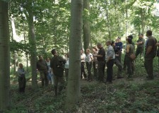 Dauerwaldwirtschaft – die Zusammenarbeit von ThüringenForst und der Pilis Parkforst AG