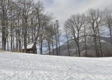 Közszolgálati közlemény EGERERDŐ Zrt.-nél – 2018 január