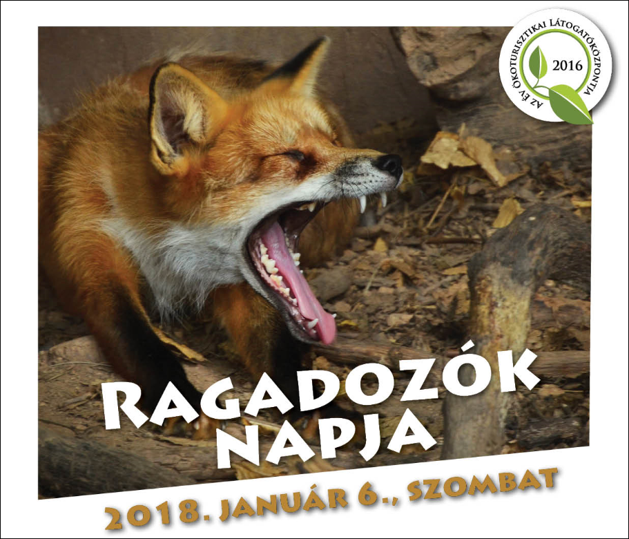 Ragadozók napja a Budakeszi Vadasparkban – 2017.01.04.