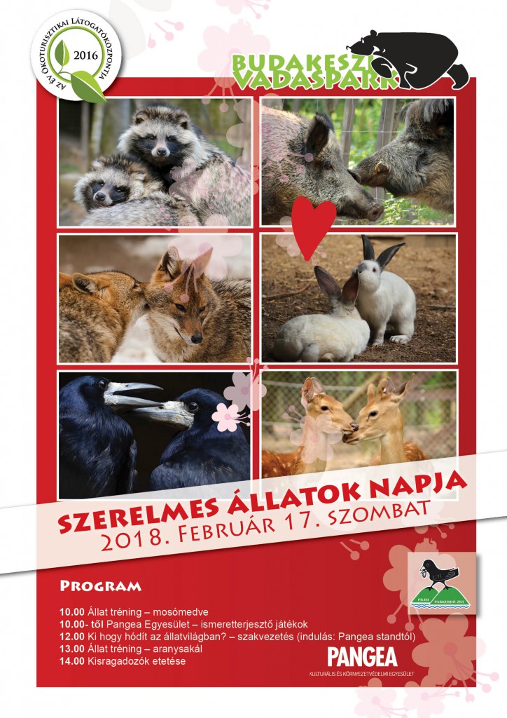 Szerelmes állatok napja a Budakeszi Vadasparkban – 2018.02.14.