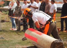 STIHL Versenysorozat Pilisszentiváni Regionális Elődöntője – 265. – 2019.06.14-i adás